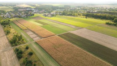 Sonbahar ağaçlarıyla çevrili yeşil çayır.