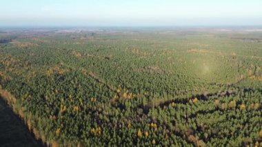 Sonbaharda renkli yaprakları olan ormanlık tepeler