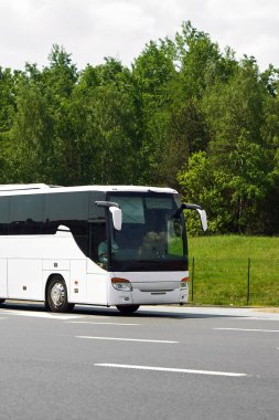 Ağaçların yanına park edilmiş modern beyaz otobüs.