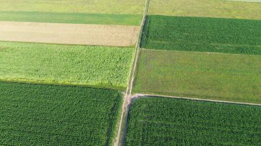 Gökyüzünden yakalanan yeşil tarlalar