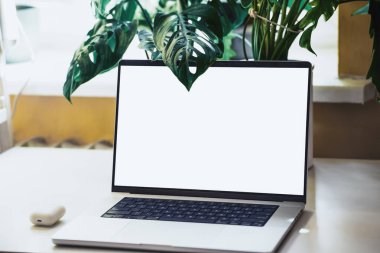 Laptop ve Yeşillik ile Modern Masa Ayarları