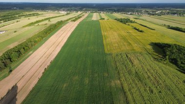 Gün batımında Yaz Tarlalarının Hava Çekimi