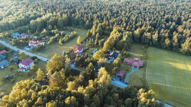 Sık ormanlarda yuva yapmış ev ve bahçe..