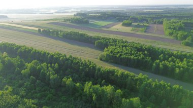 Kırsal alanlarda ve ormanlarda altın saat ışığı