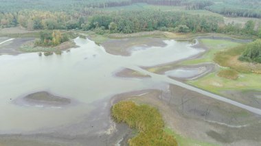 Orman ve kurumuş göl berrak gökyüzünün altında