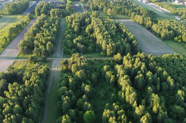 Yeşil orman ve açık araziler havadan çekilmiş yaz manzarası