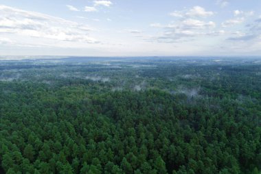 Güneşin doğuşunda ağaçlar ve tepelerle kaplı sis kaplı kırlarda