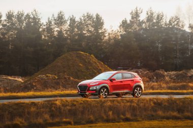 Otomobil kırsalda geziyor