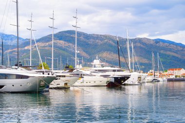 Güzel limana yanaşmış lüks yatlar.