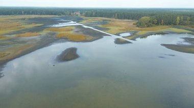 Kuraklığın göl ve orman üzerindeki etkisi