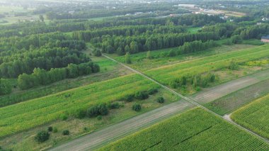 Ormanda ve açık arazilerde toprak izleri.