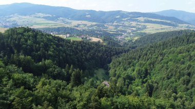 Ormanlık alanın hava perspektifi