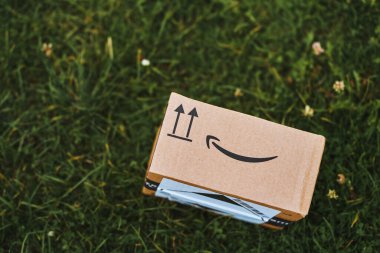 Polonya, Avrupa 29.11.2024 Amazon Paketi Çimenli arka planda şirket logosu.