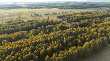 Günbatımı kırsal yaz tarlalarına ve ormanlara altın ışık saçıyor