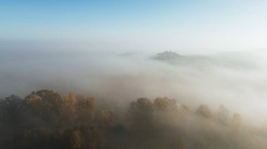 Sabah sisi ormanda yuvarlanıyor