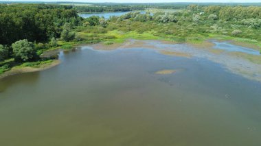 Rezervuardaki Kuşların Panoramik Görünümü