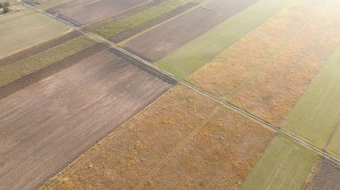 Yeşil alan ve sonbahar havası