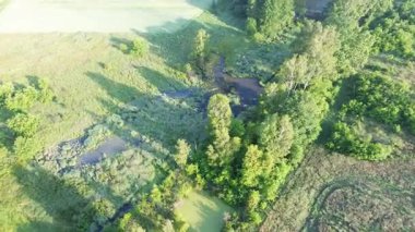 Ağaçların yanındaki göletin havadan görünüşü