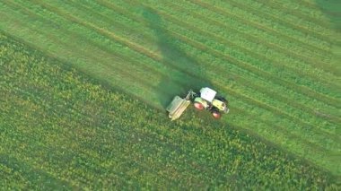 Taze çim biçen biçerdöver