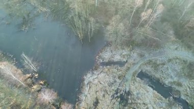 Buzlu su ve çıplak ağaçların drone görüntüsü