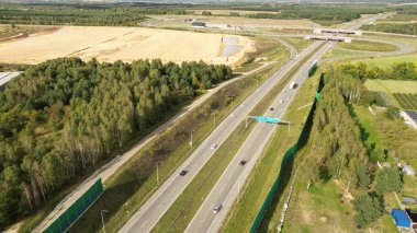 Orman araçlarla çevrili.