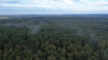 Yukarıdan görünen sisli orman örtüsü