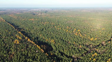 Yukarıdan göz kamaştırıcı sonbahar manzarası