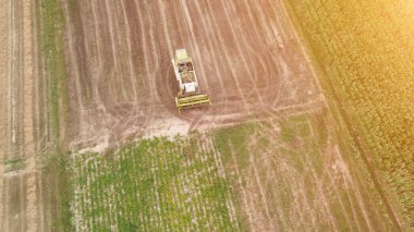 Altın tarladaki hasatçıyı birleştir.