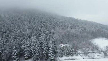 Karlı kırların manzaralı havası