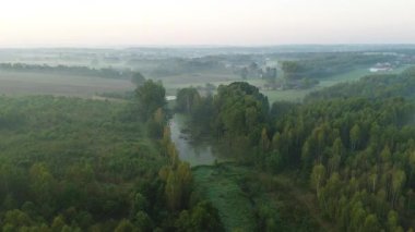 Kırsal alanlarda altın ışıkla sisli gün doğumu