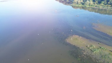 Huzurlu Göl 'ün Tünediği Kuşlar