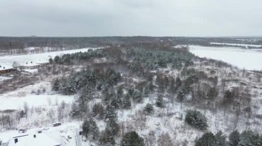 Sakin, karlı bir ormanın havadan görünüşü