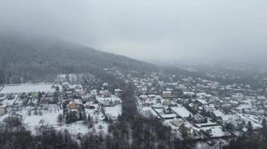 Karlı kırsal manzaralı evler ve ağaçlar