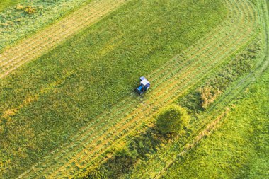 Traktörde çim biçen çiftçi