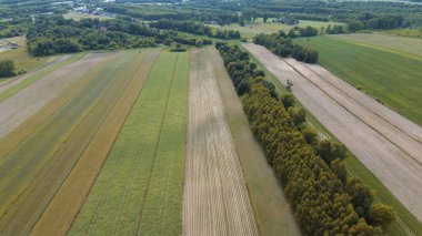 Günbatımı Avrupa 'nın tarım arazilerine uzun gölgeler bıraktı