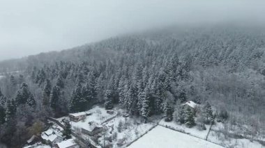 Buzlu çam ağaçları olan karlı hava manzarası