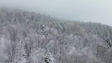 Karlı dağ yamaçları ve kışın kırsal köy