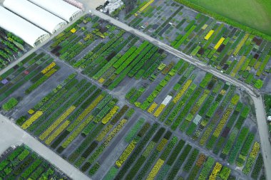 Renkli fidanlıkların kuş bakışı manzarası