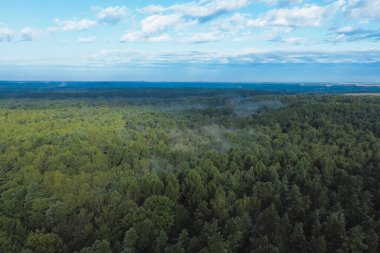 Puslu yeşil ormanın yukarıdan görünüşü