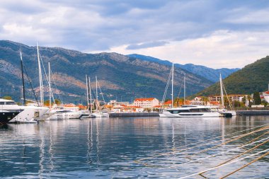 Güzel limana yanaşmış lüks yatlar.