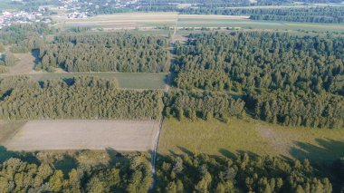 Yeşil ormanlar ve tarlalar boyunca toprak yol