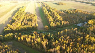 Yeşil tarlalı manzaralı sonbahar manzarası
