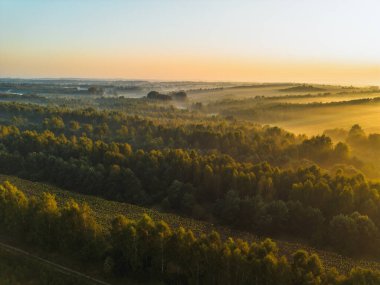 Altın güneş ışığı sisli vadide parlıyor