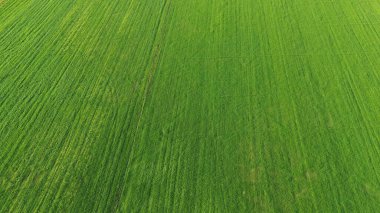 İnsansız hava aracından alınan tarlalar ve tarlalar