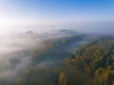 Güneşin doğuşunda sisli sonbahar ormanlarının ve tarım arazilerinin insansız hava aracı görüntüsü