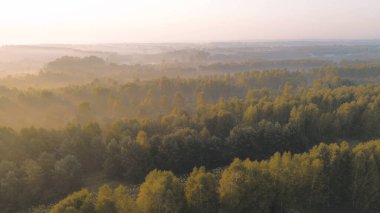 Yeşil tarlaların ve uzak dağların üzerinde sabah sisi