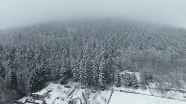 Karlı kırların manzaralı havası