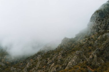 Sakin göl üzerinde puslu tepeler ve yeşillik