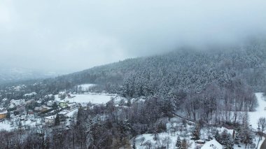 Karlı ormanları ve tepeleri olan güzel kış manzarası