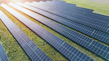 Günışığında birden fazla güneş paneli olan yenilenebilir enerji çiftliği